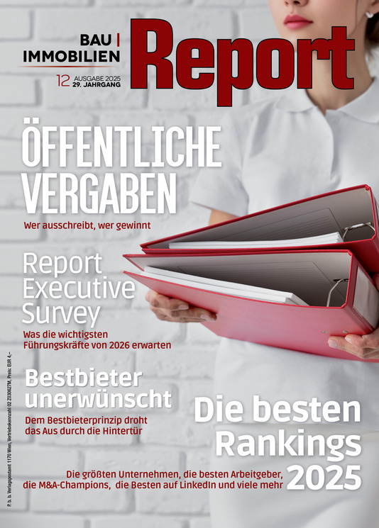 Bau & Immobilien Report 12/25