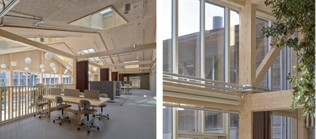 52_53_velux2.jpg