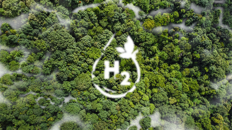 CEGH: Handelsplattform für grüner Wasserstoff