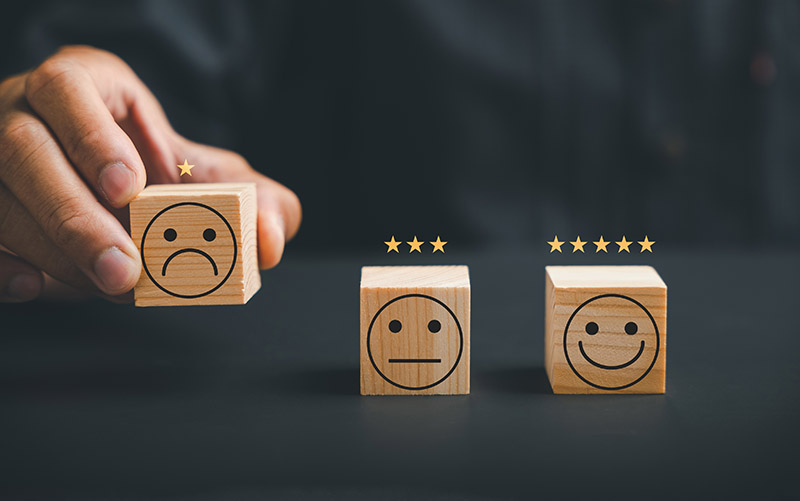 Die besten Rankings des Jahres